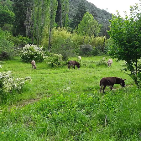Natur'anes Horská chata Mialet (Gard)